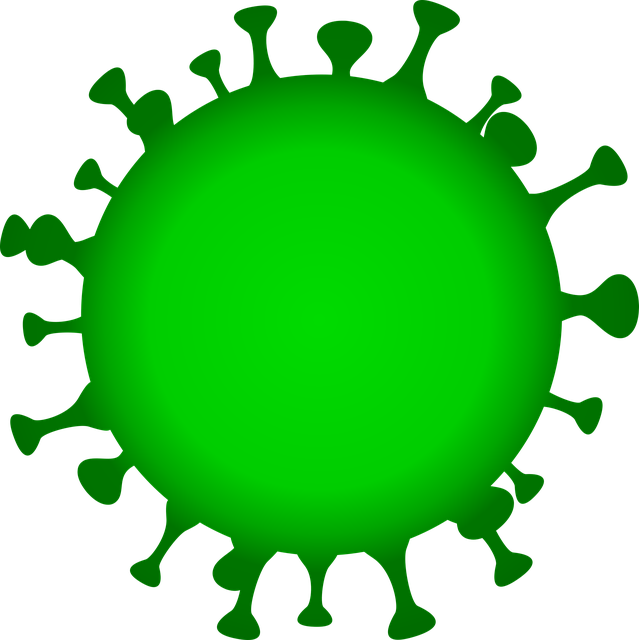 Virus